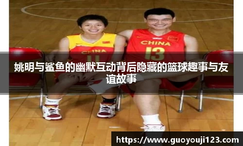 姚明与鲨鱼的幽默互动背后隐藏的篮球趣事与友谊故事