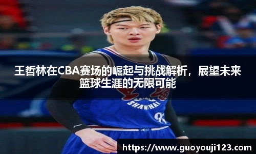 王哲林在CBA赛场的崛起与挑战解析，展望未来篮球生涯的无限可能